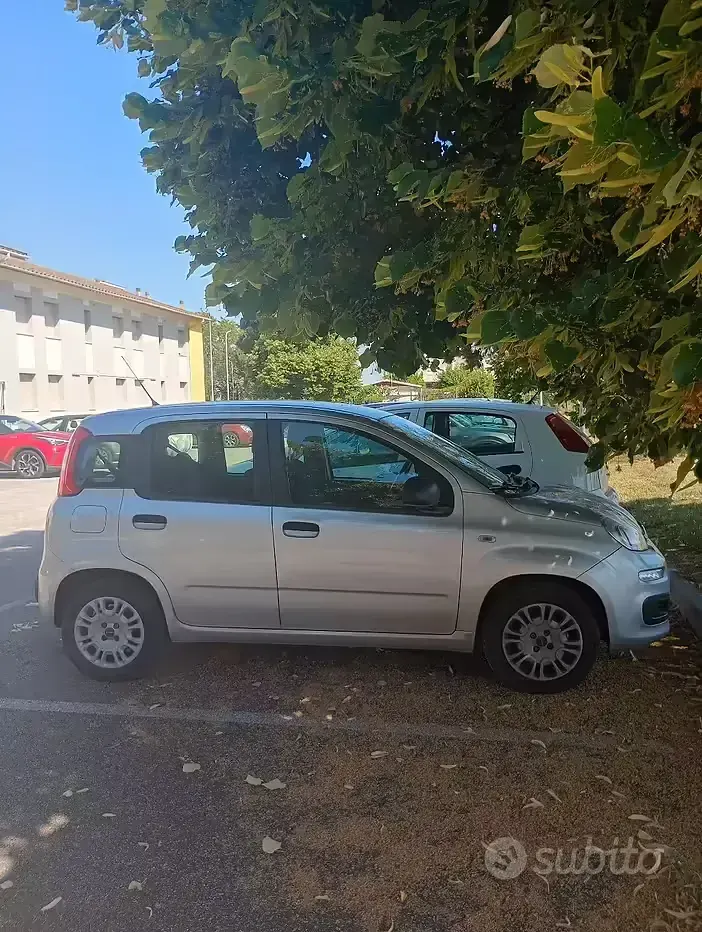 Usata Fiat Panda 69 CV (50 kW) 2016 Grigio Utilitaria