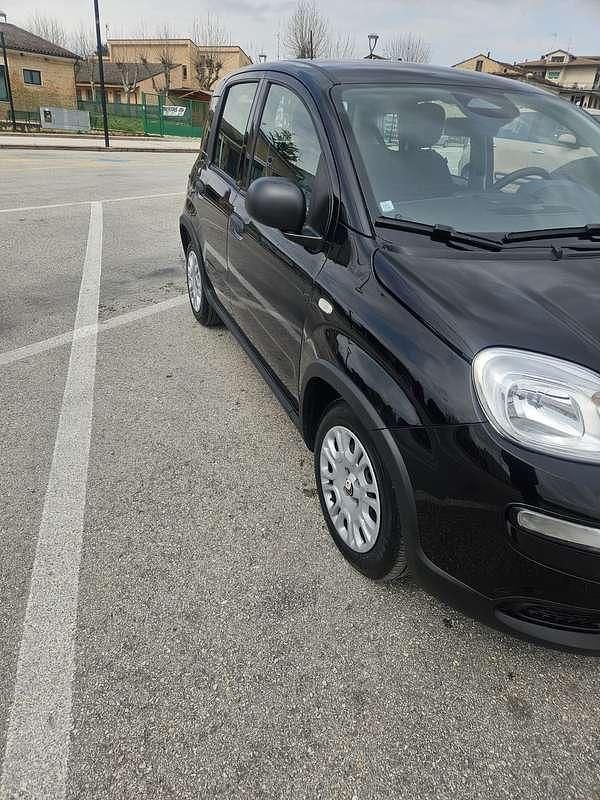 Usata Fiat Panda S 69 CV (50 kW) 2024 Utilitaria