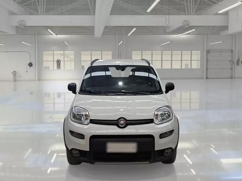 Usata Fiat Panda 4x4 Wild 85 CV (62 kW) 2022 Utilitaria