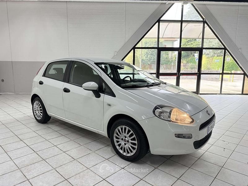 Usata Fiat Punto Evo Lounge 75 CV (55 kW) 2015 Bianco Utilitaria