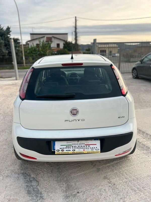 Usata Fiat Punto Evo Dynamic 75 CV (55 kW) 2011 Bianco Utilitaria
