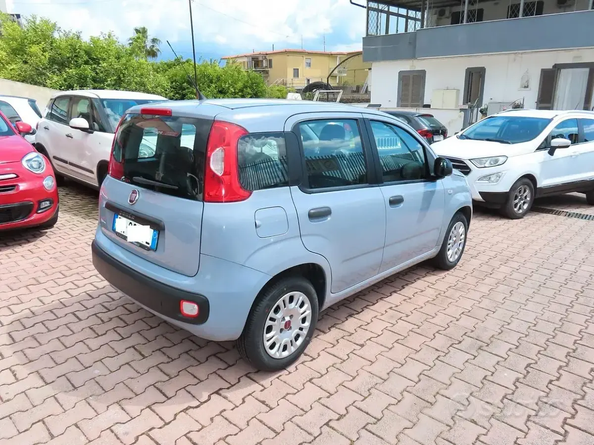 Usata Fiat Panda 69 CV (50 kW) 2018 Grigio Utilitaria