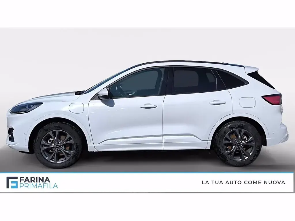 Usata Ford Kuga ST-Line X 225 CV (165 kW) 2023 Bianco frozen SUV
