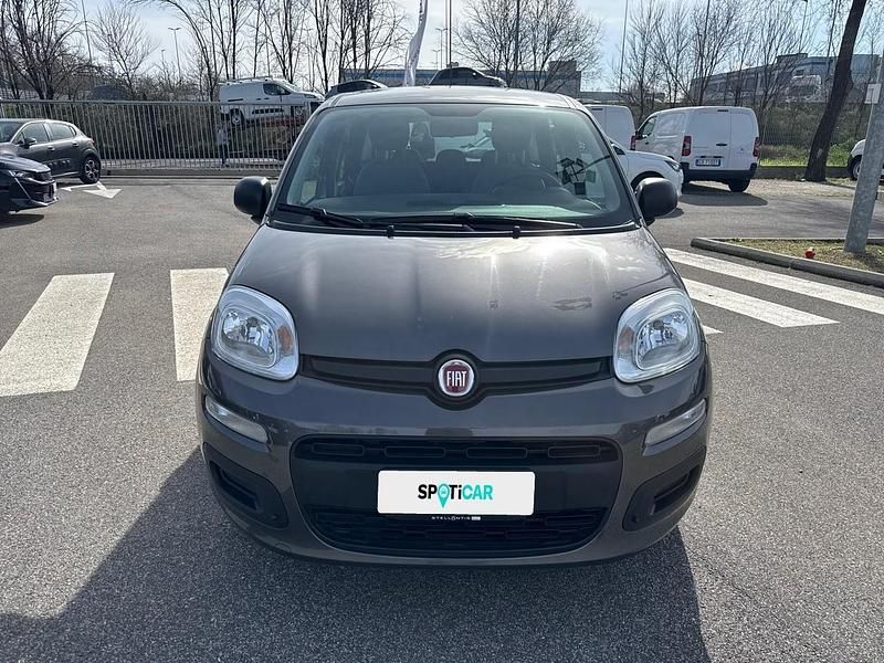 Usata Fiat Panda S 70 CV (51 kW) 2021 Grigio Utilitaria