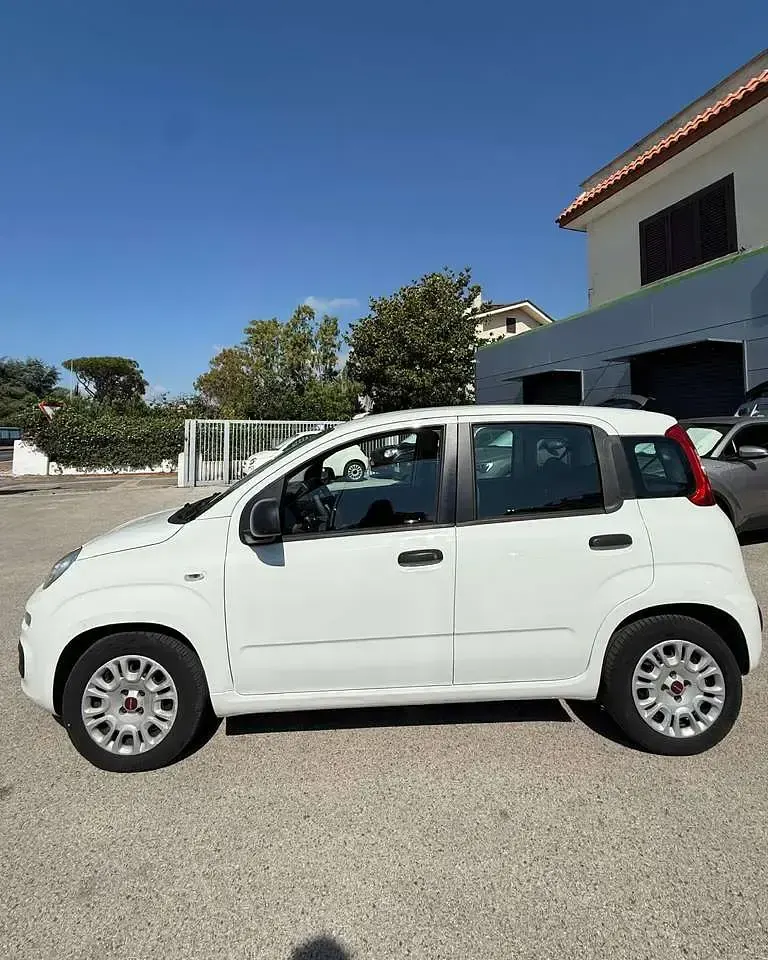 Usata Fiat Panda Easy 75 CV (55 kW) 2014 Bianco Utilitaria
