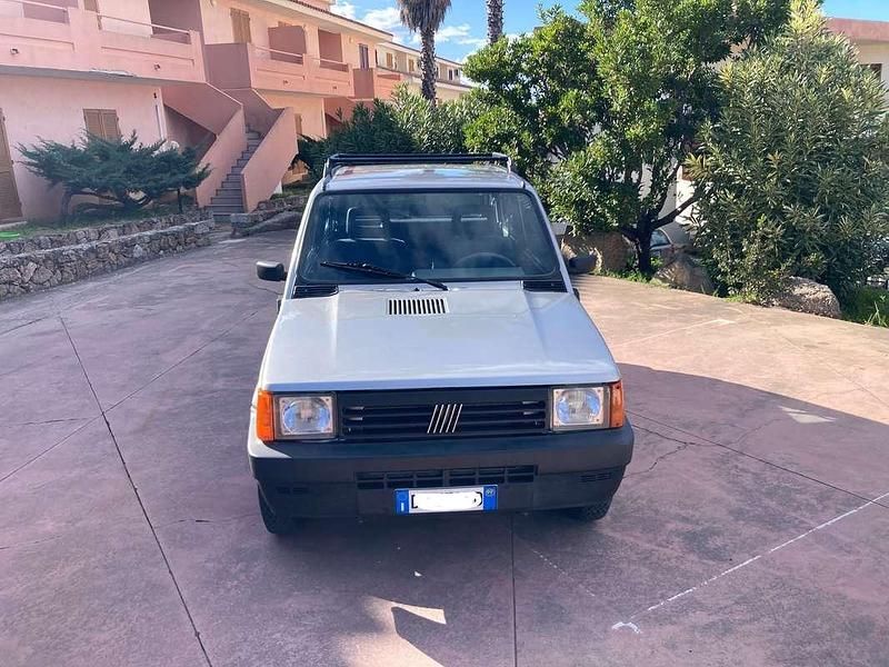 Usata Fiat Panda 4x4 Trekking 54 CV (39 kW) 1999 Argento Utilitaria