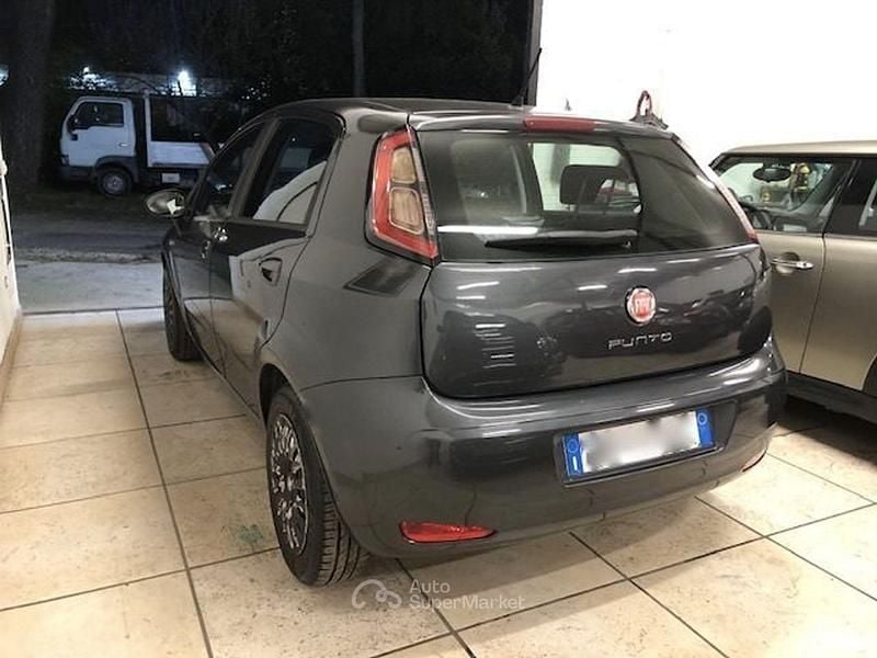 Usata Fiat Punto Active 69 CV (50 kW) 2011 Grigio Utilitaria