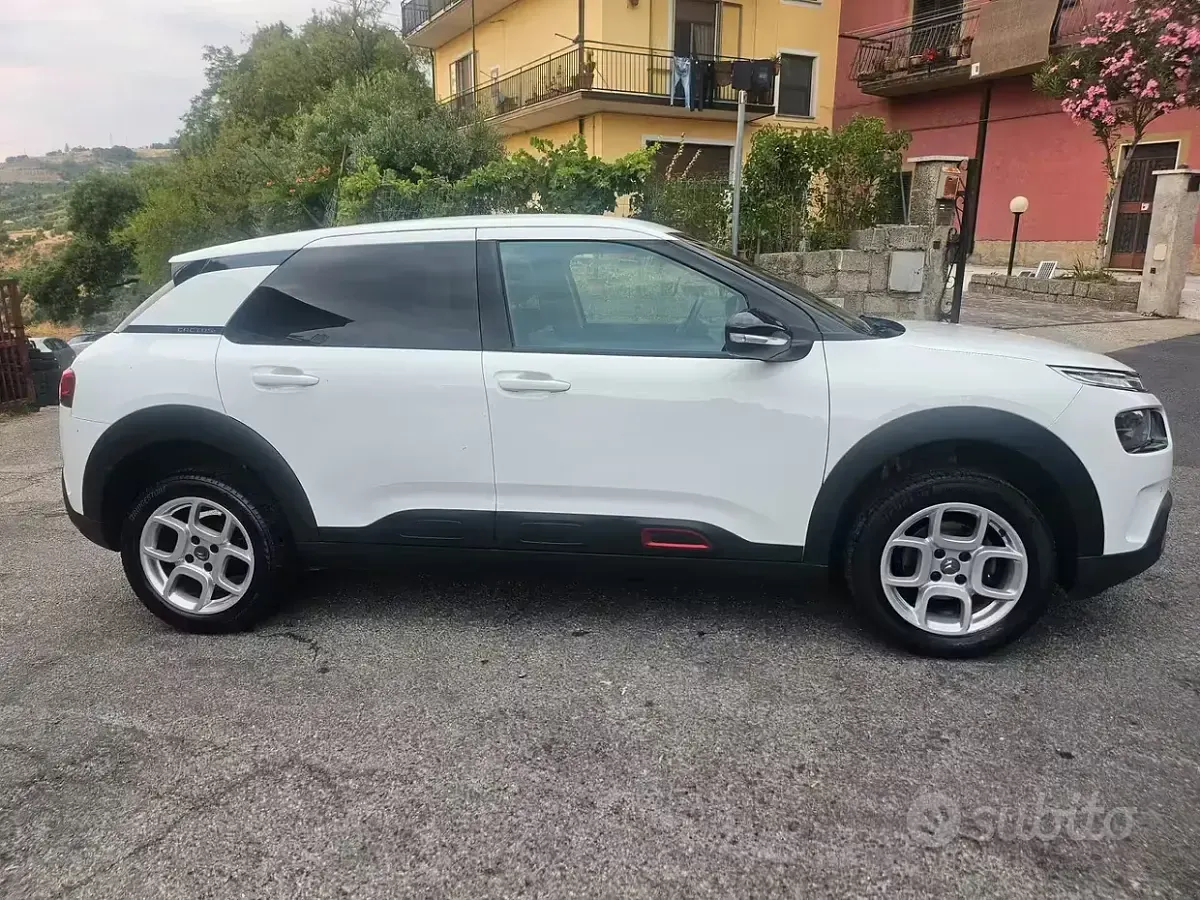 Usata Citroën C4 Cactus 102 CV (75 kW) 2020 Bianco Utilitaria
