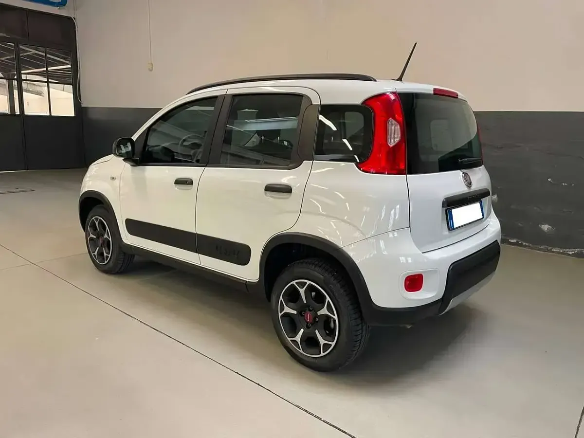 Usata Fiat Panda 4x4 S 86 CV (63 kW) 2020 Bianco Utilitaria