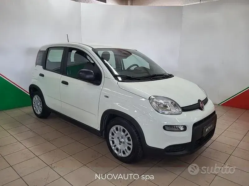 Usata Fiat Panda S 70 CV (51 kW) 2024 Bianco Utilitaria