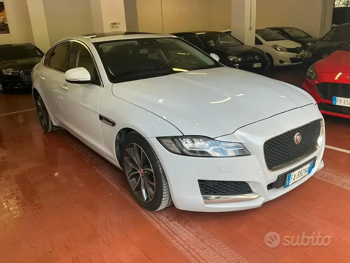 Usata Jaguar XF 300 CV (220 kW) 2015 Bianco Berlina