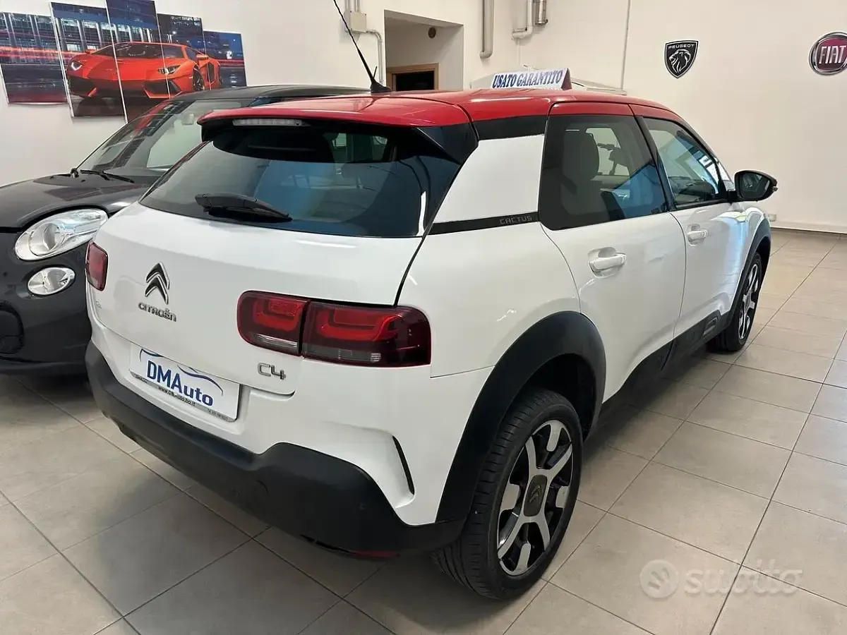 Usata Citroën C4 Cactus Shine 120 CV (88 kW) 2019 Bianco Utilitaria