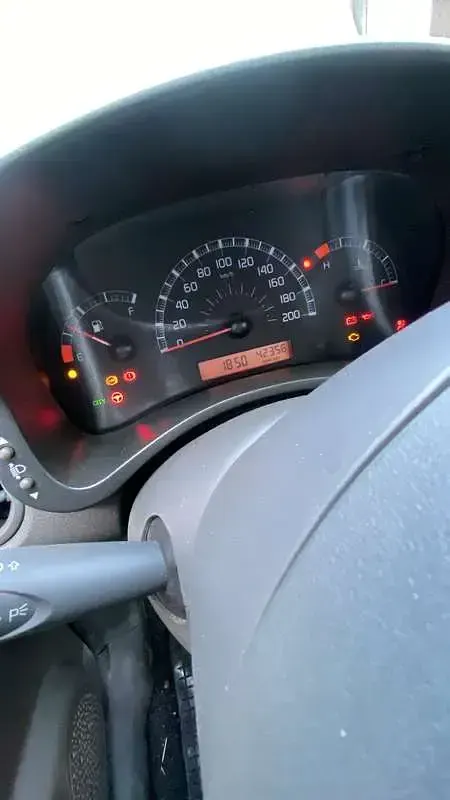 Usata Fiat Panda Active 54 CV (39 kW) 2007 Utilitaria