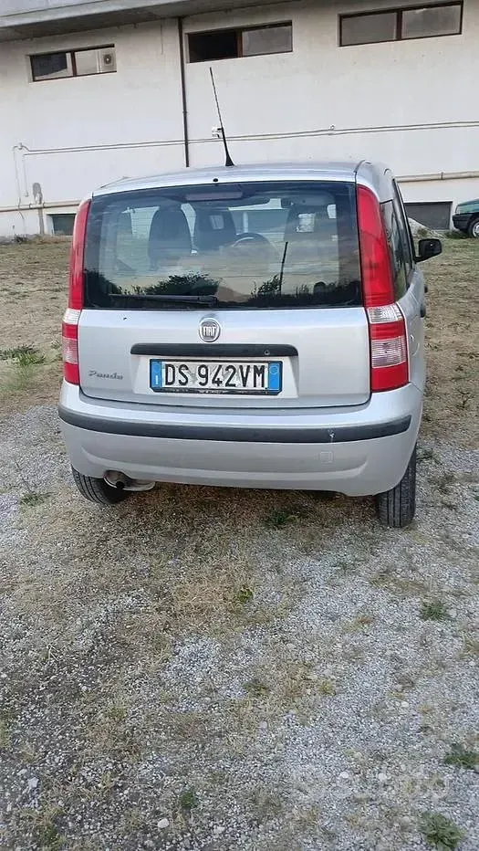 Usata Fiat Panda Dynamic 60 CV (44 kW) 2008 Grigio Utilitaria