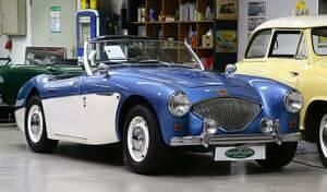 Usata Austin Healey 100 110 CV (80 kW) 1955 Blu Cabrio
