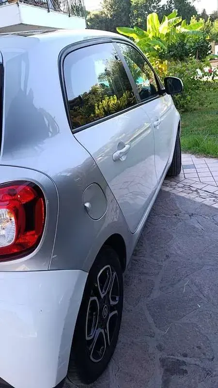 Usata Smart ForFour Electric Drive Passion 41 kW (56 CV) 2019 Bianco Utilitaria