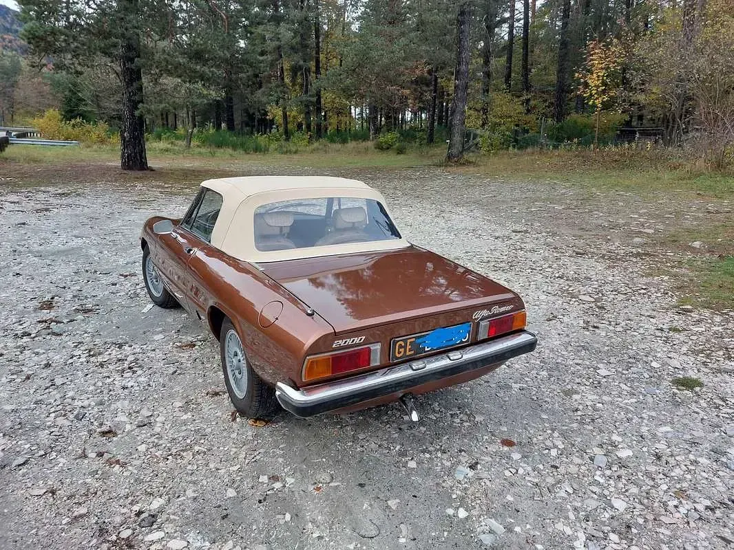 Usata Alfa Romeo Spider Veloce 128 CV (94 kW) 1981 Cabrio