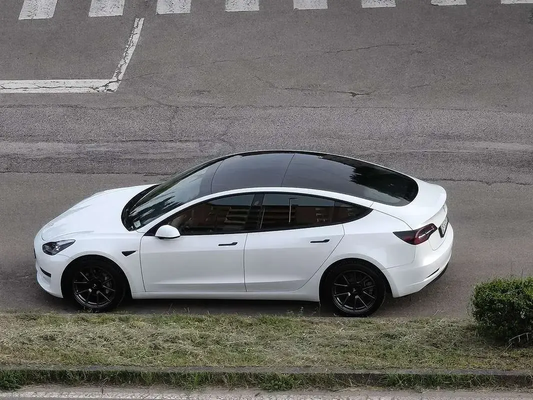 Usata Tesla Model 3 Standard Range 88 kW (120 CV) 2021 Berlina