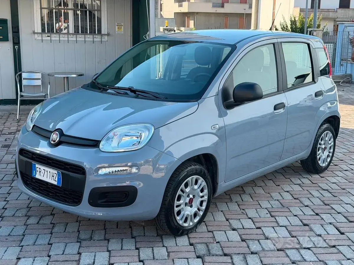 Usata Fiat Panda Easy 69 CV (50 kW) 2018 Grigio Utilitaria