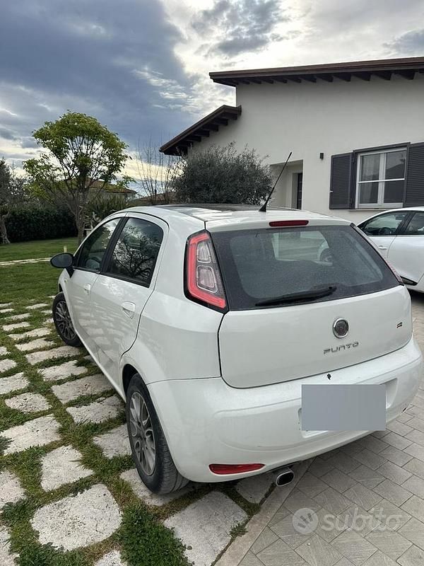 Usata Fiat Punto 77 CV (56 kW) 2012 Bianco Utilitaria