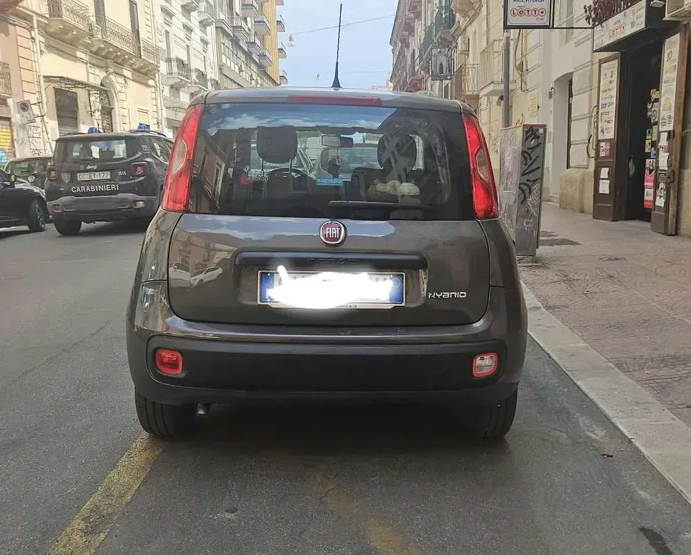 Usata Fiat Panda 69 CV (50 kW) 2021 Utilitaria