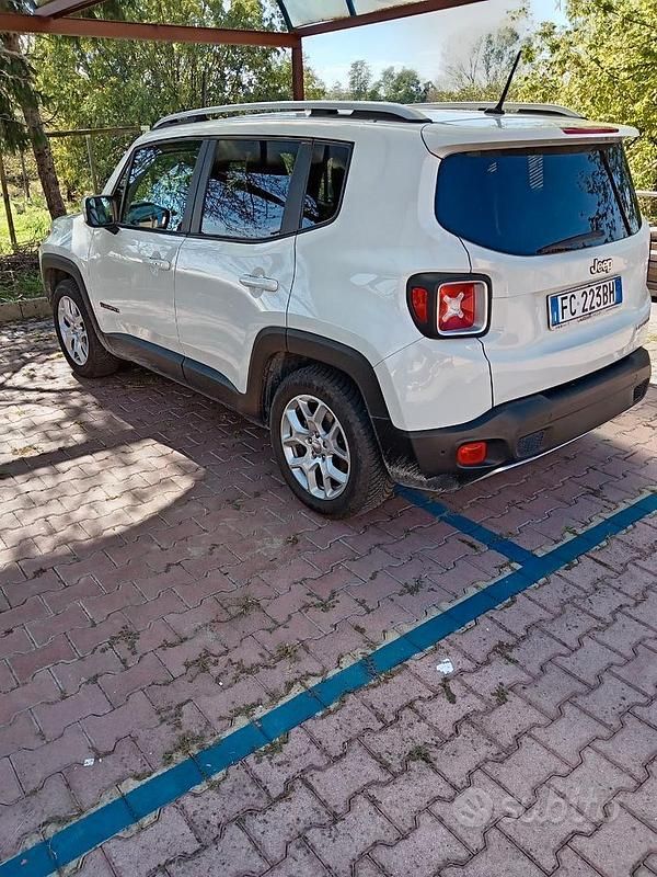 Usata Jeep Renegade Longitude 110 CV (80 kW) 2016 Bianco SUV