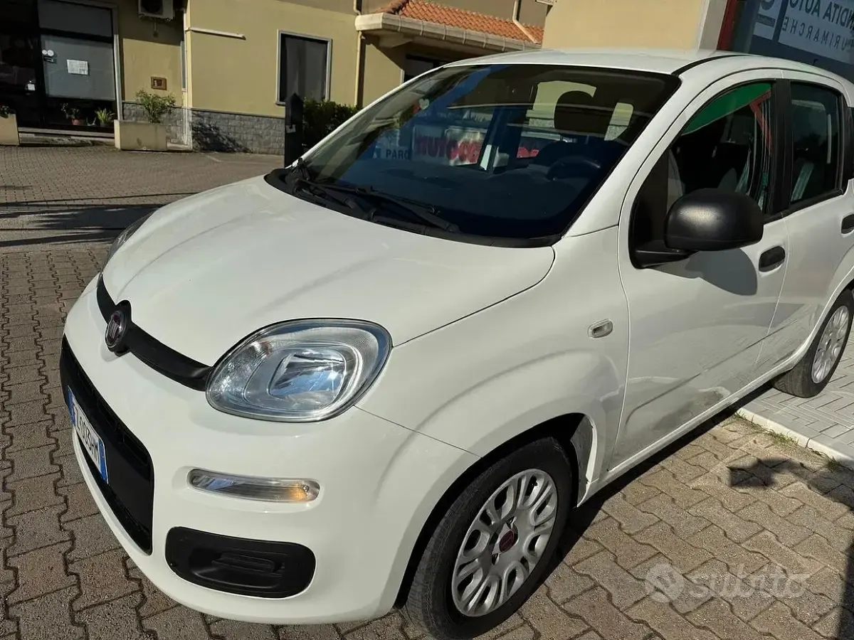 Usata Fiat Panda Easy 69 CV (50 kW) 2019 Bianco Utilitaria