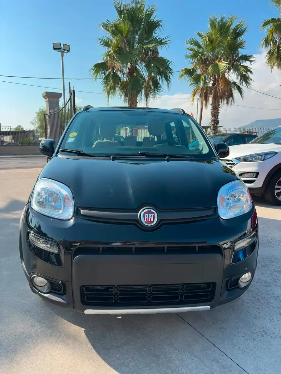 Usata Fiat Panda 4x4 S 75 CV (55 kW) 2014 Nero Utilitaria