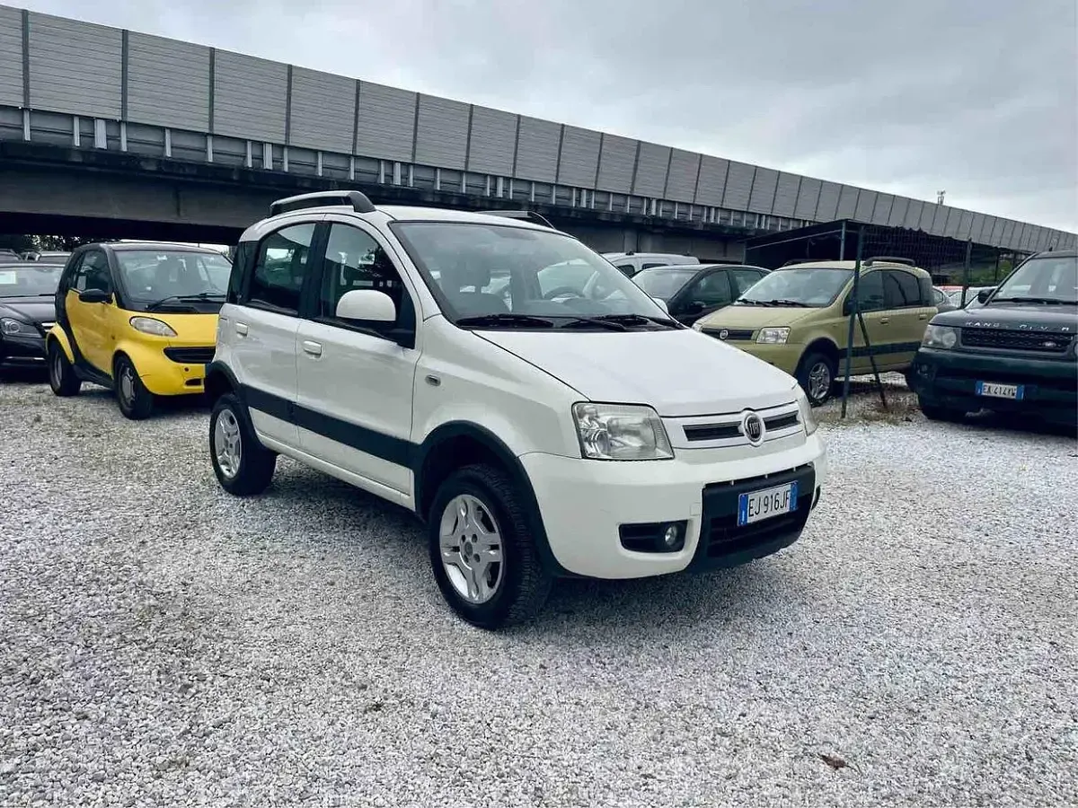 Usata Fiat Panda 4x4 Climbing 75 CV (55 kW) 2011 Bianco Utilitaria