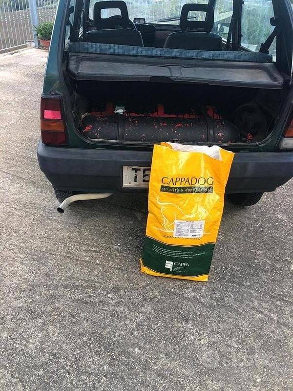 Usata Fiat Panda 4x4 50 CV (36 kW) 1989 Utilitaria