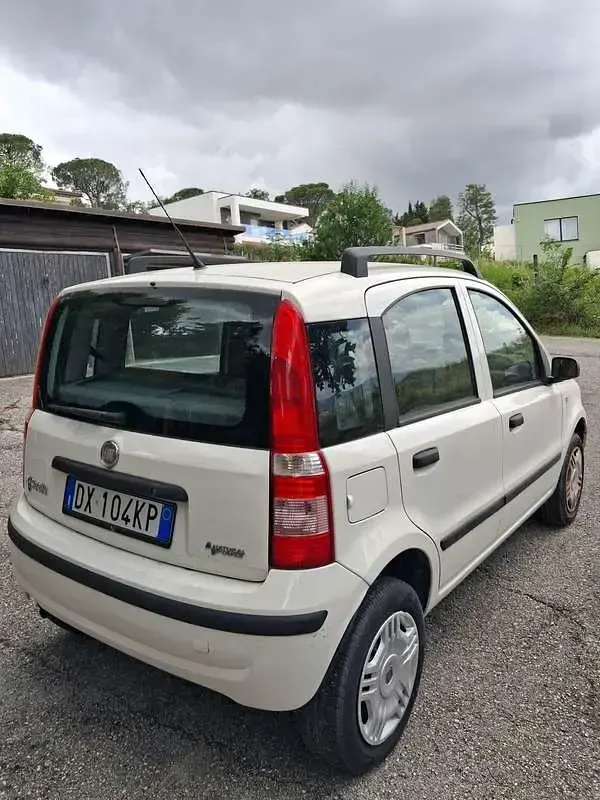 Usata Fiat Panda Dynamic 60 CV (44 kW) 2009 Utilitaria