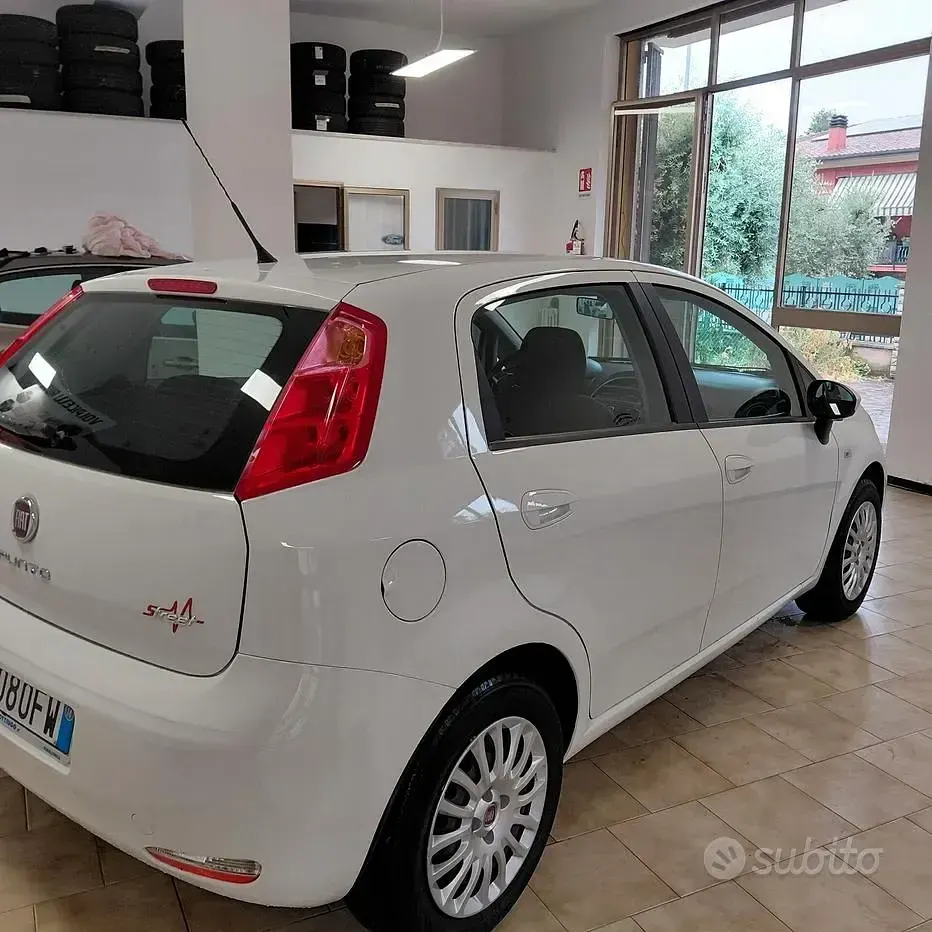 Usata Fiat Punto 69 CV (50 kW) 2014 Bianco Utilitaria