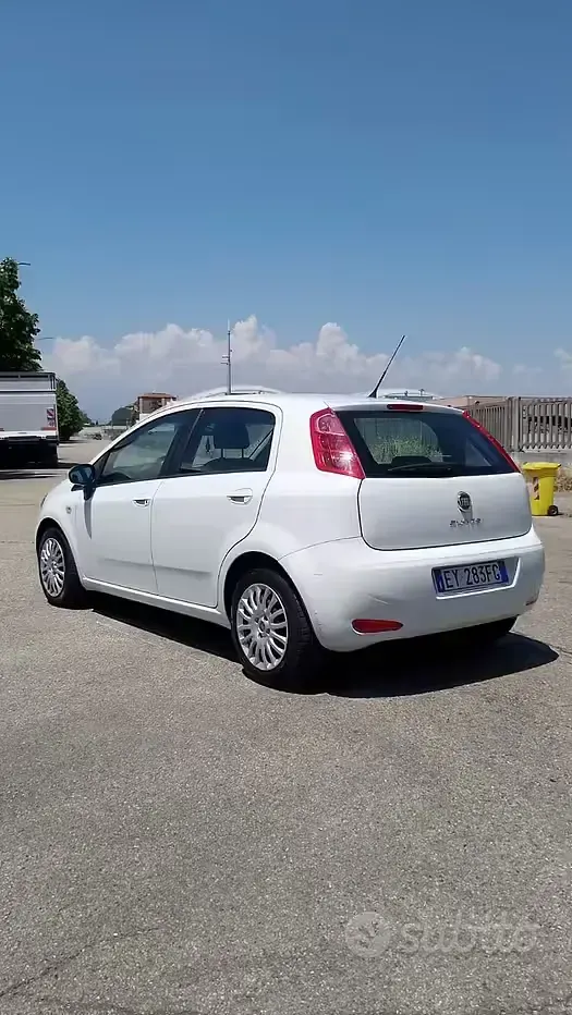 Usata Fiat Punto Evo 75 CV (55 kW) 2015 Bianco Utilitaria