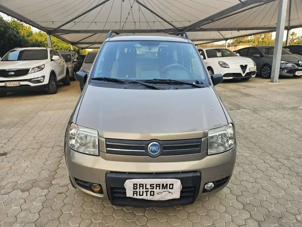 Usata Fiat Panda 4x4 Climbing 69 CV (50 kW) 2007 Grigio Utilitaria