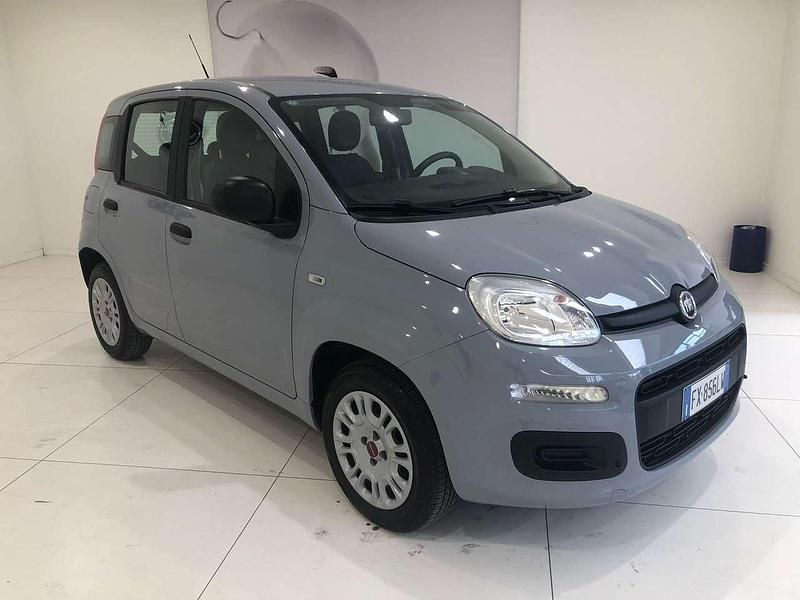Usata Fiat Panda Easy 69 CV (50 kW) 2019 Grigio Utilitaria