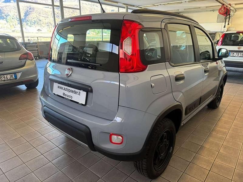 Usata Fiat Panda 4x4 S 86 CV (63 kW) 2019 Grigio Utilitaria
