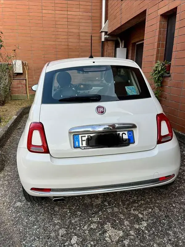 Usata Fiat 500 69 CV (50 kW) 2019 Utilitaria