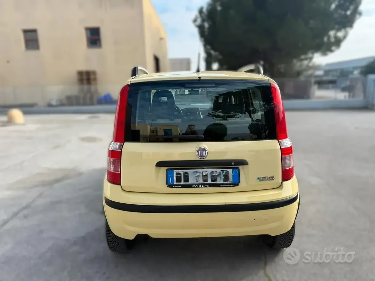 Usata Fiat Panda 69 CV (50 kW) 2012 Giallo Utilitaria