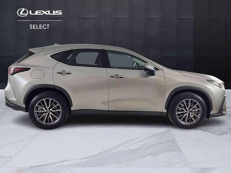 Usata Lexus NX200t 185 CV (136 kW) 2023 Argento SUV