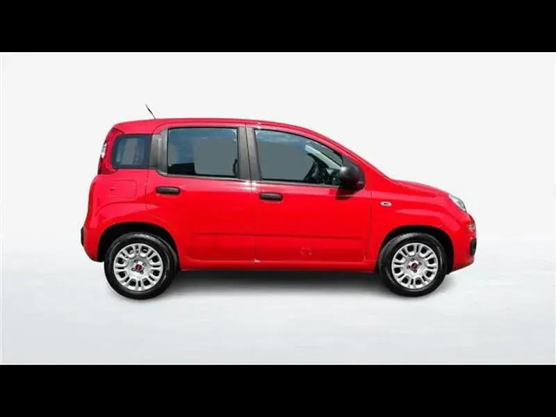 Usata Fiat Panda Easy 69 CV (50 kW) 2019 Rosso Utilitaria