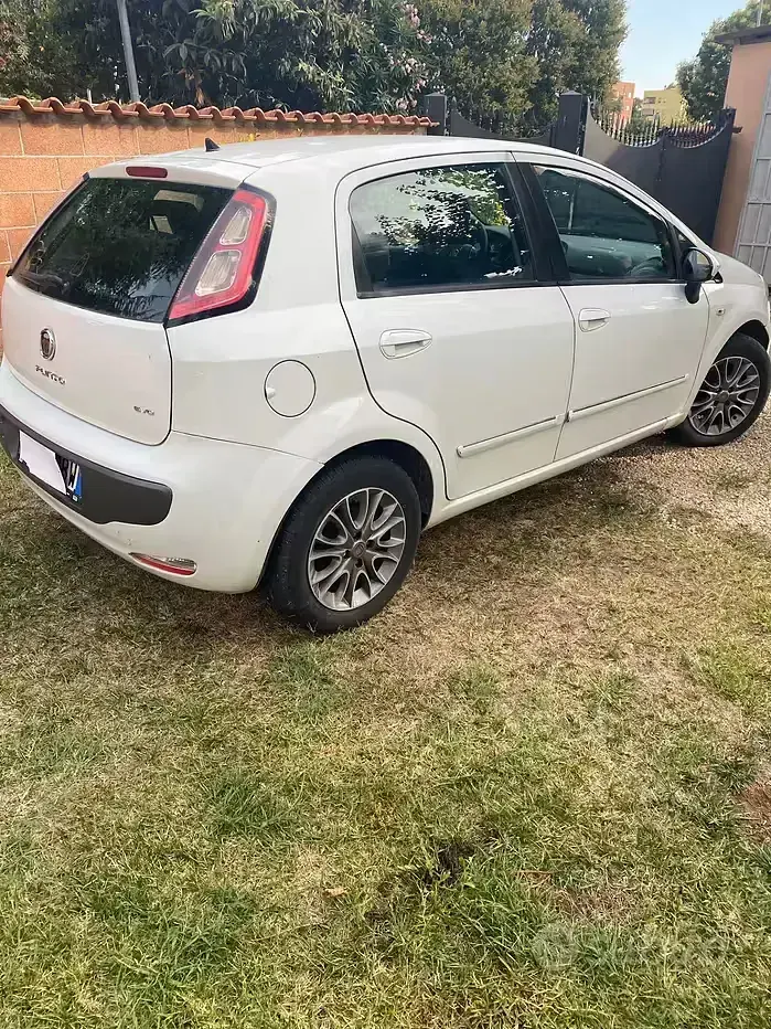 Usata Fiat Punto Evo S 95 CV (69 kW) 2011 Bianco Utilitaria