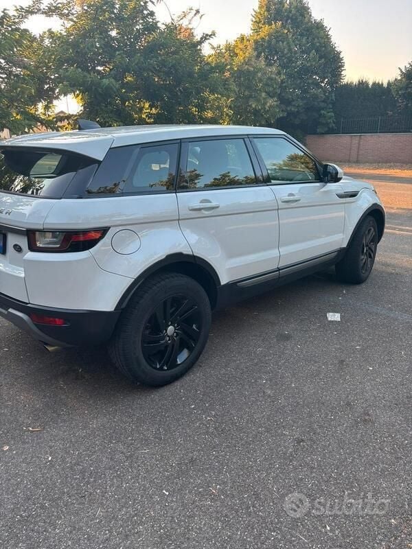 Usata Land Rover Range Rover evoque 150 CV (110 kW) 2019 Bianco SUV