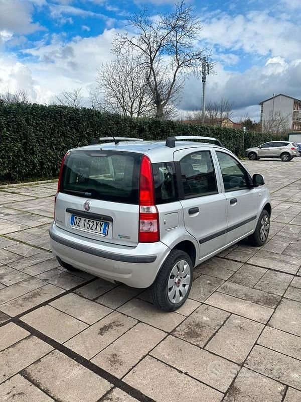 Usata Fiat Panda 77 CV (56 kW) 2010 Utilitaria
