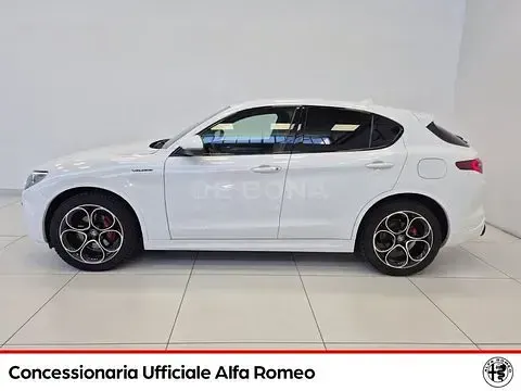 Usata Alfa Romeo Stelvio Ti 209 CV (153 kW) 2021 Bianco SUV