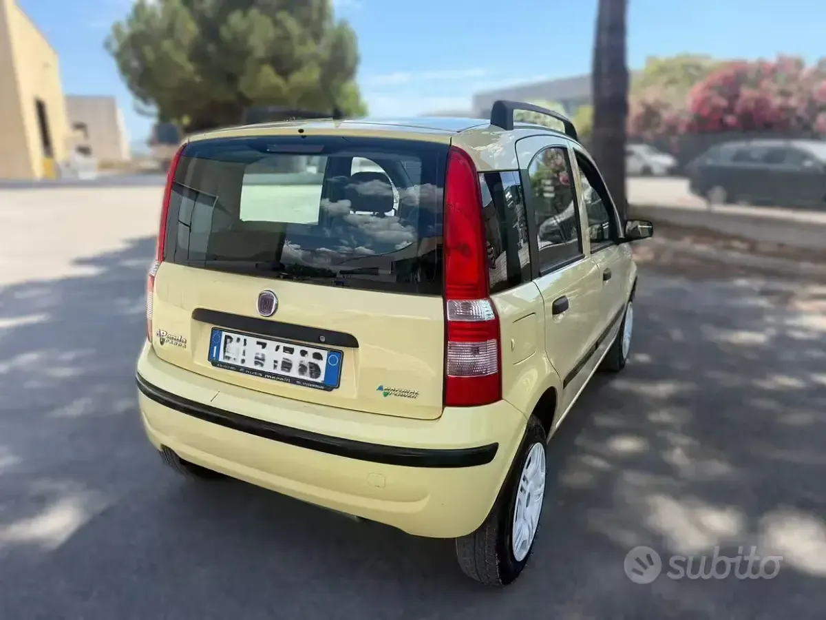 Usata Fiat Panda 69 CV (50 kW) 2010 Giallo Utilitaria