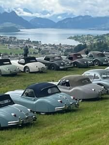 Usata Jaguar XK 193 CV (141 kW) 1954 Blu Cabrio