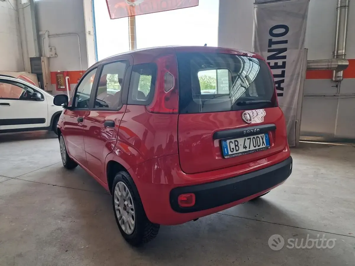 Usata Fiat Panda Lounge 69 CV (50 kW) 2020 Rosso Utilitaria