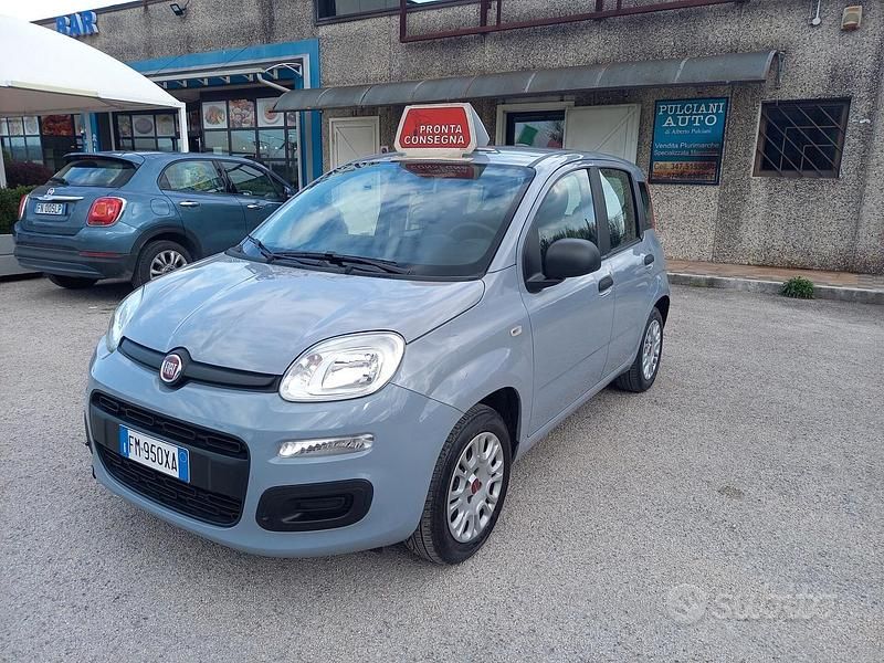 Usata Fiat Panda Easy 69 CV (50 kW) 2018 Grigio Utilitaria