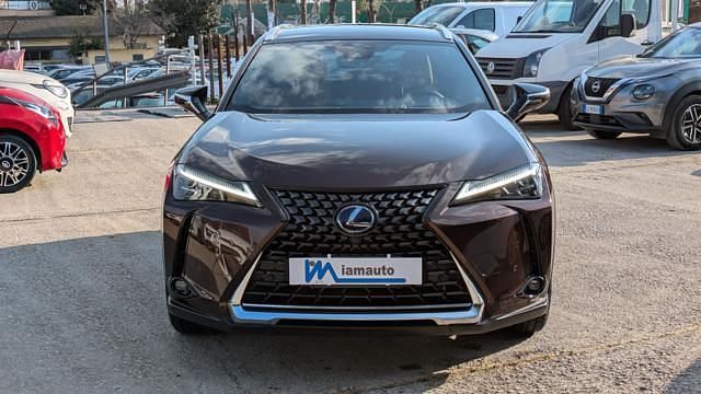Usata Lexus UX 250h 152 CV (111 kW) 2021 Marrone SUV