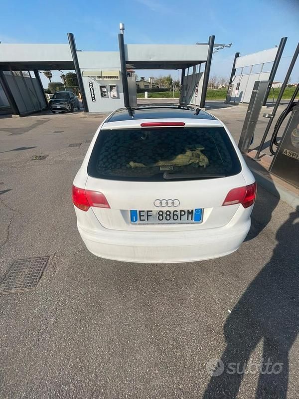 Usata Audi A3 105 CV (77 kW) 2008 Bianco Utilitaria
